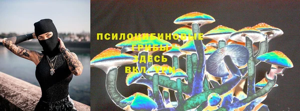 ГАЛЛЮЦИНОГЕННЫЕ ГРИБЫ Балахна