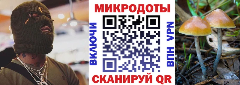 darknet какой сайт  Ужур  Галлюциногенные грибы GOLDEN TEACHER  закладка  мега зеркало 